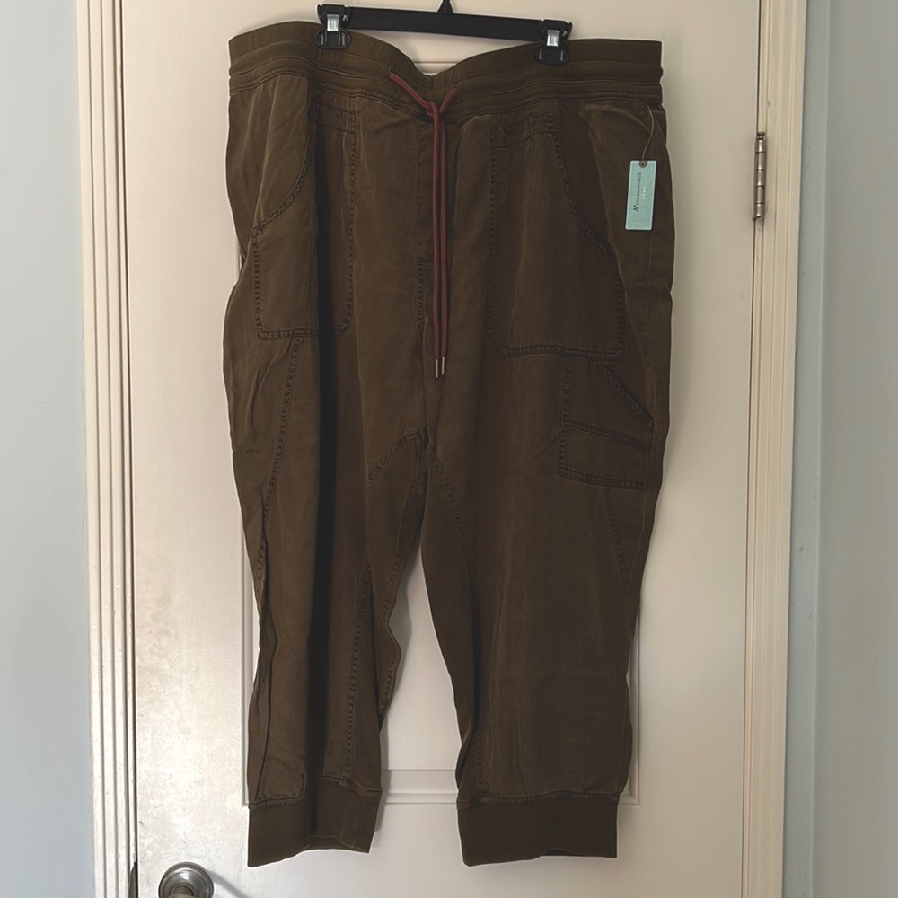 Anthropologie Jogger Pants - 3xl